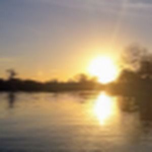 Meet your Posher, Katy